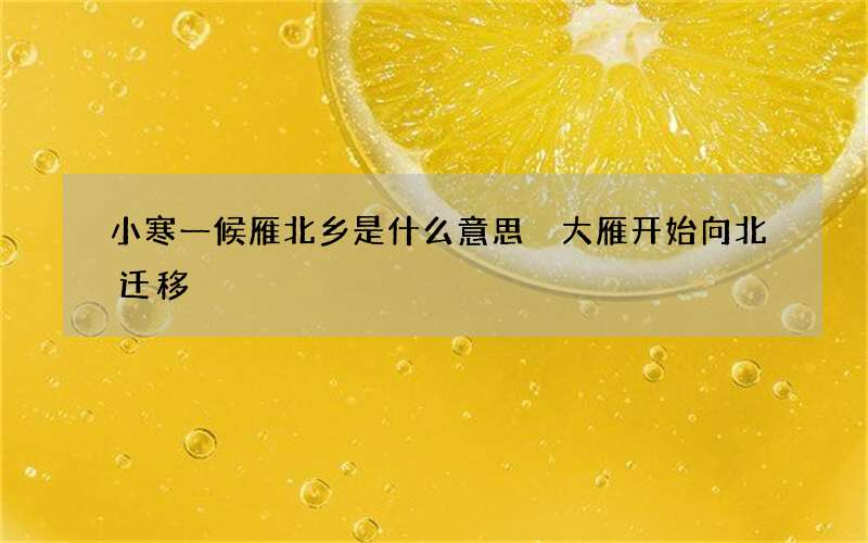 小寒一候雁北乡是什么意思 大雁开始向北迁移